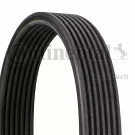 POLY V BELT PORSCHE CAYENNE 9551022510 - 7DPK2880 ( CONTINENTAL BRAND ) - V8