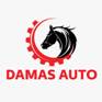         Damas auto parts store        